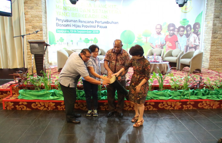 Perlu Kolaborasi Provinsi dan Kabupaten Tumbuhkan Ekonomi Hijau